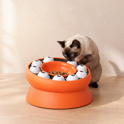 Maze Puzzle Feeder