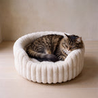 Nest Plush Bed - WHITE - with a cat