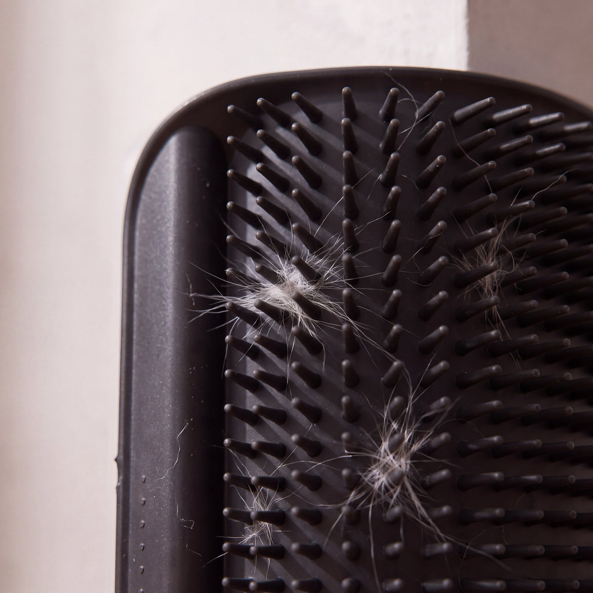 Nook Corner Groomer - Black - close up