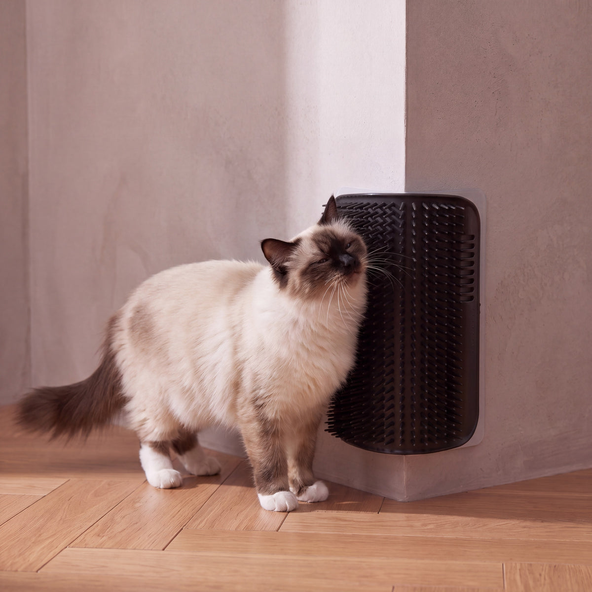 Nook Corner Groomer - Black - with a cat
