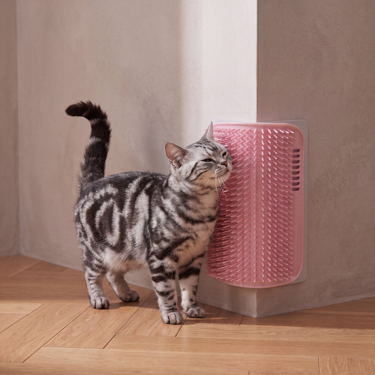 Nook Corner Groomer - Pink - with a cat