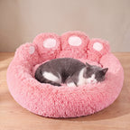 Paw Plush Bed - Blush - with a cat
