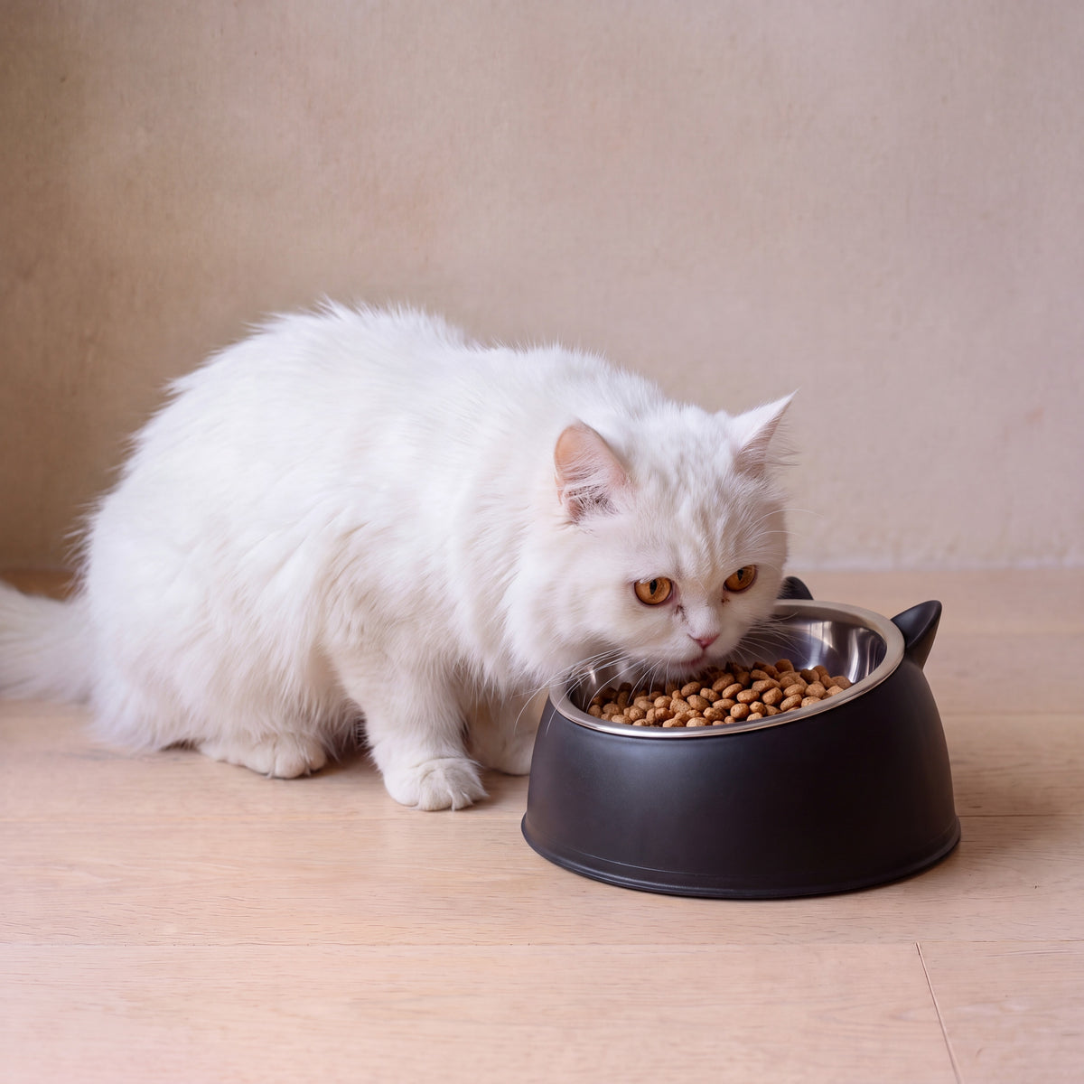 Pebble Steel Bowl - Black - with a cat