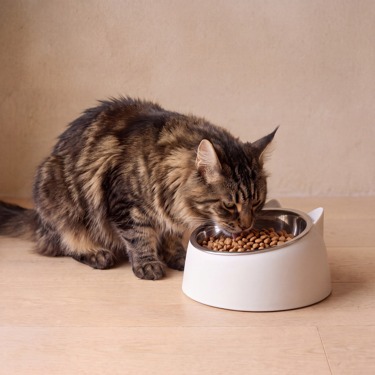 Pebble Steel Bowl - White - with a cat
