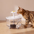 Petal Flower Fountain - with a cat