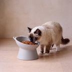 Pillar Tilted Bowl - Grey - with a cat