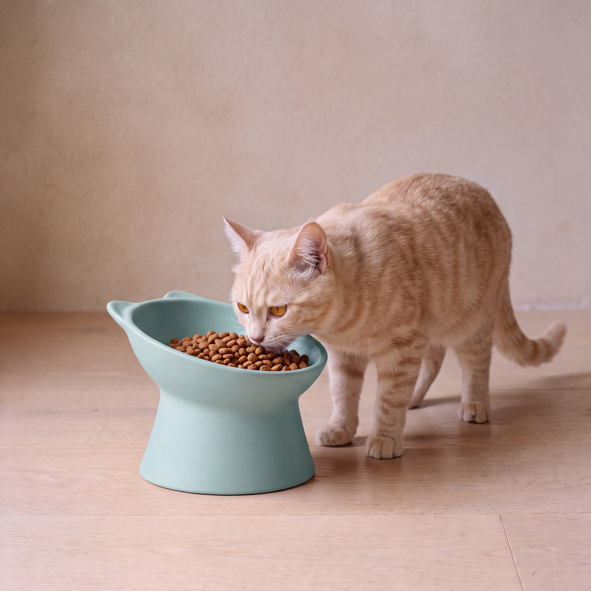 Pillar Tilted Bowl - Teal - with a cat