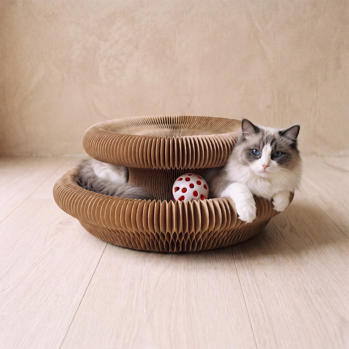 Wave Scratcher