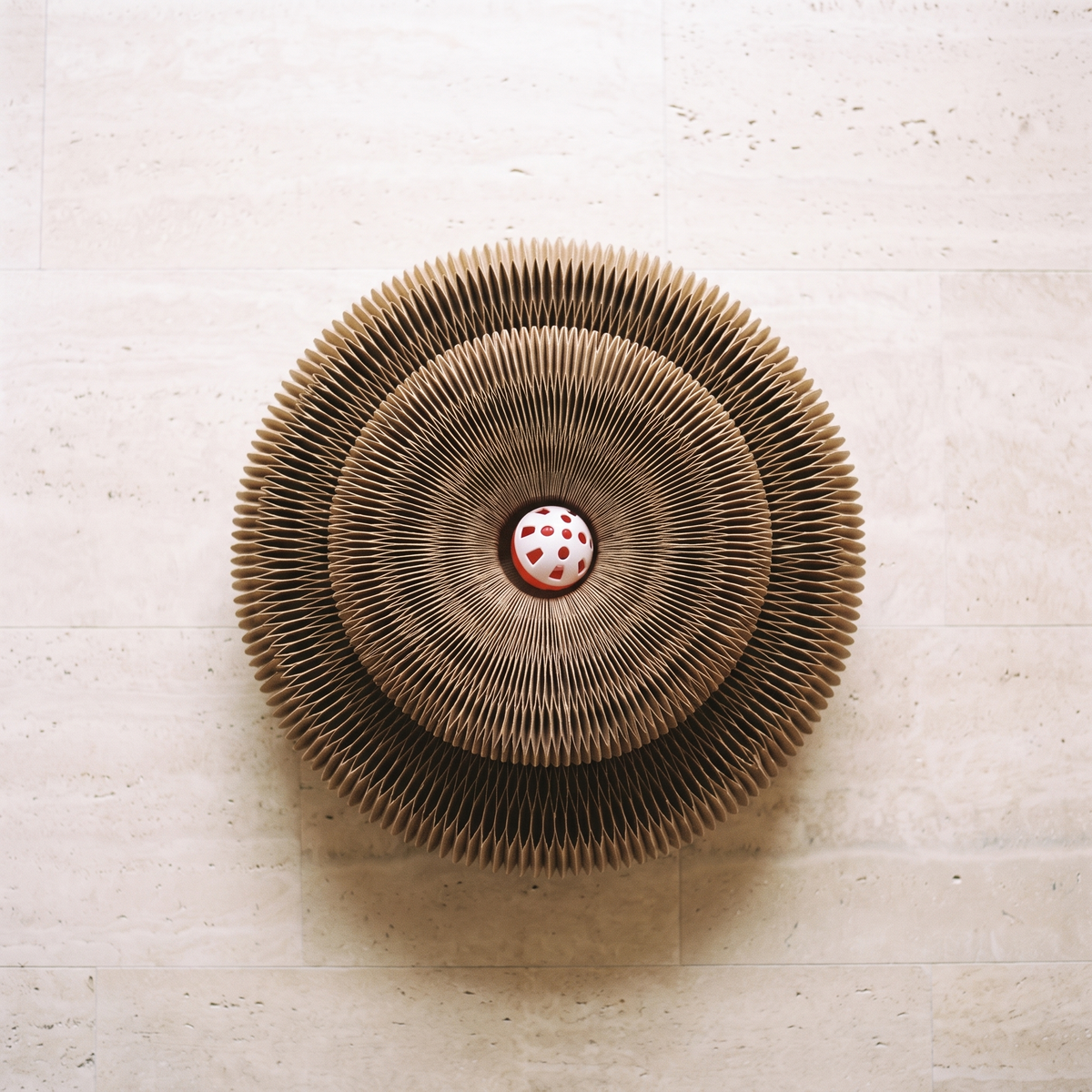 Wave Scratcher - overhead