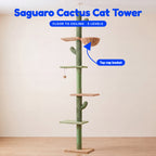 Saguaro Cactus Cat Tower - infographic