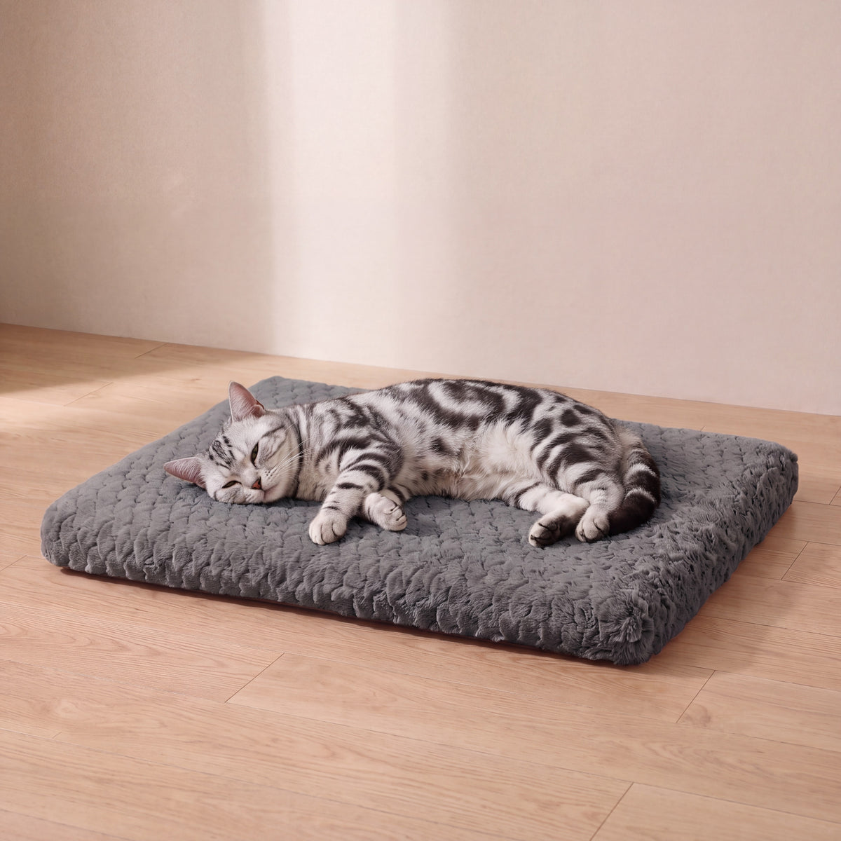 Settle Foam Bed - Charcoal - with a cat