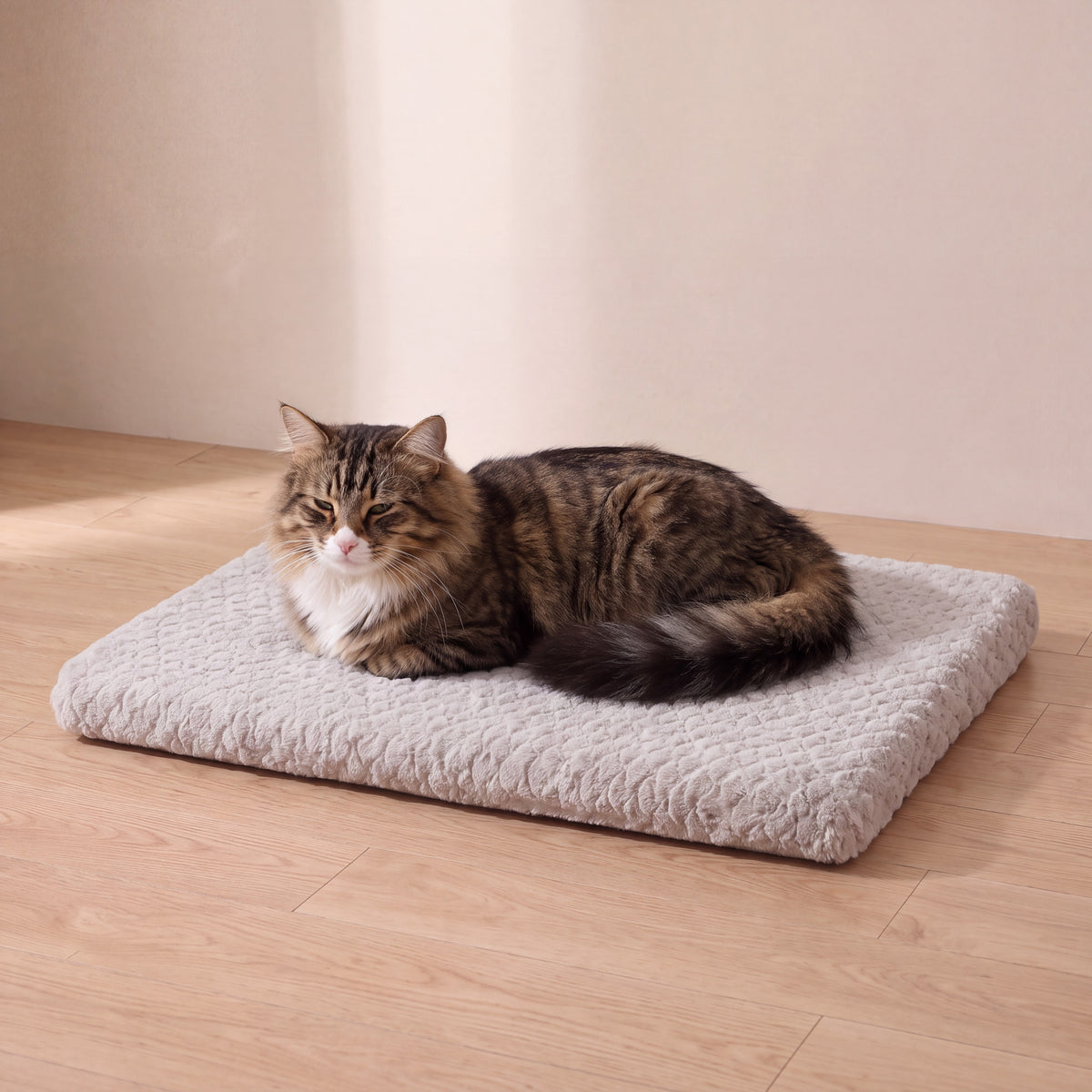 Settle Foam Bed - Light Grey - with a cat