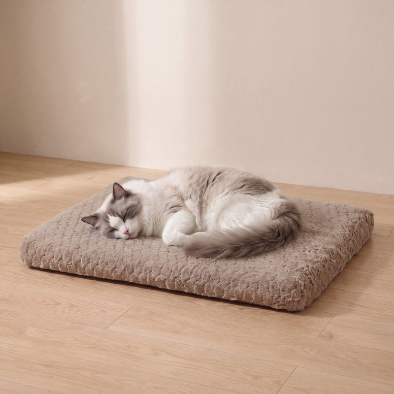 Settle Foam Bed