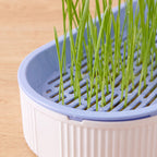 Sprout Cat Grass Box - Blue - close up