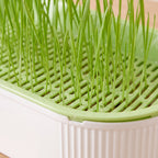 Sprout Cat Grass Box - Green - close up