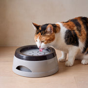 Still No-Spill Bowl