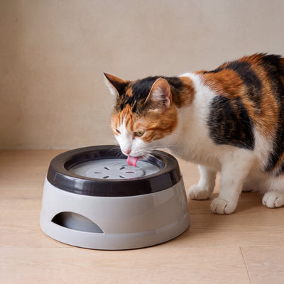 Still No-Spill Bowl