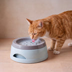 Still No-Spill Bowl - Mist Blue - with a cat