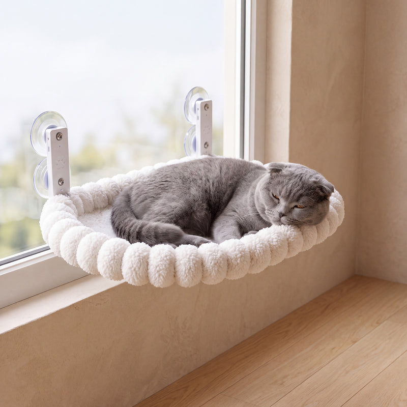 Sunny Window Perch