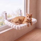 Sunny Window Perch - Square 52x36cm - with a cat
