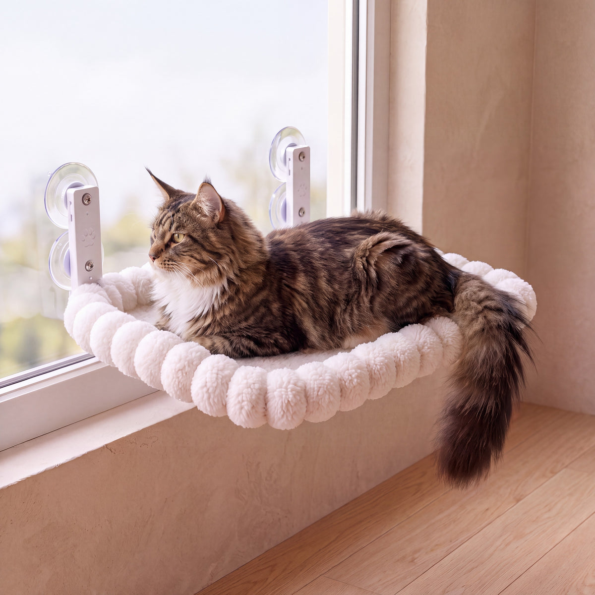 Sunny Window Perch - Square 60x36cm - with a cat