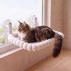 Sunny Window Perch - Square 60x36cm - with a cat