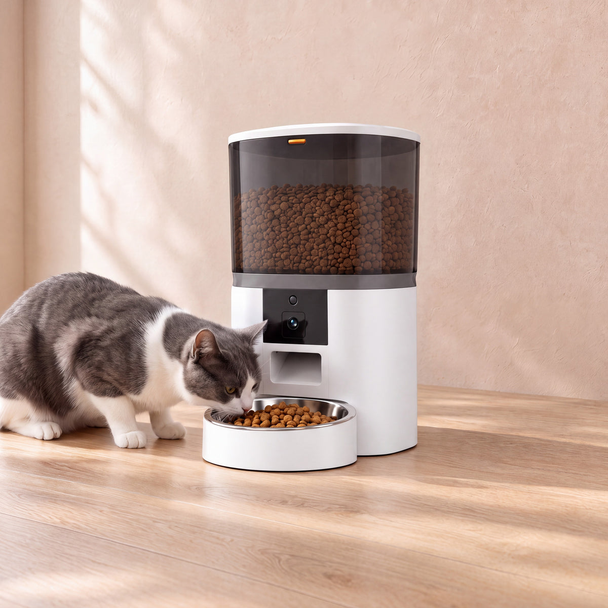 Watch Smart Camera Feeder - Single Bowl - with a cat