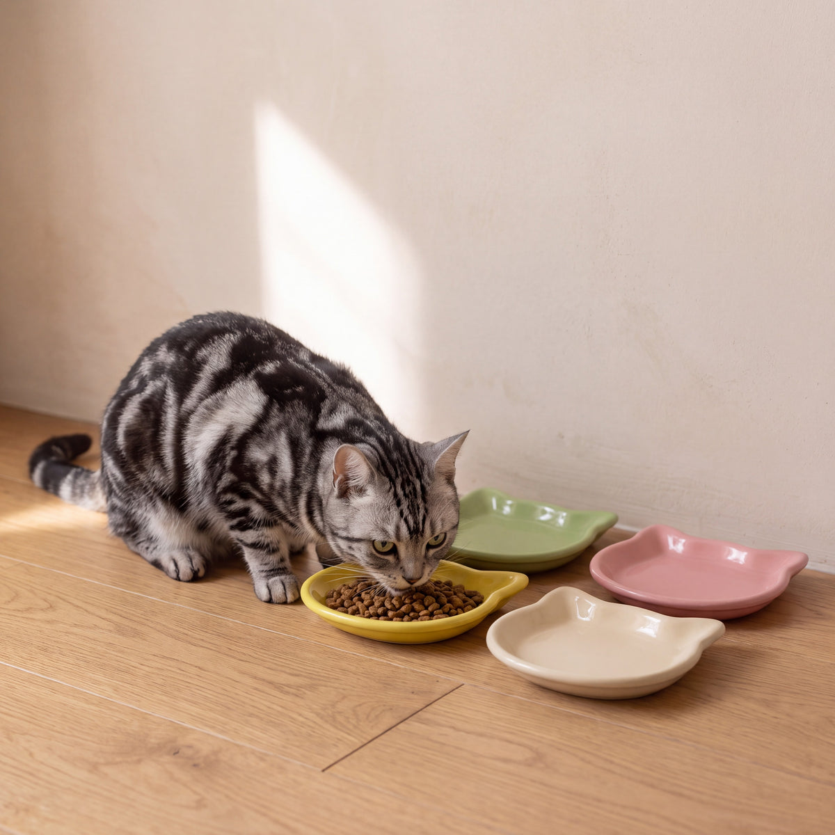 Whisker Shallow Dishes - with a cat