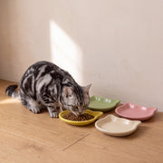 Whisker Shallow Dishes