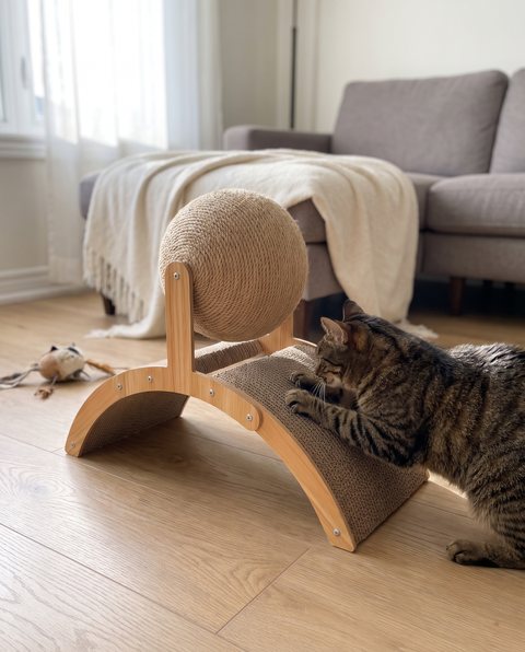 Arc Scratch Lounger, styled by Purli