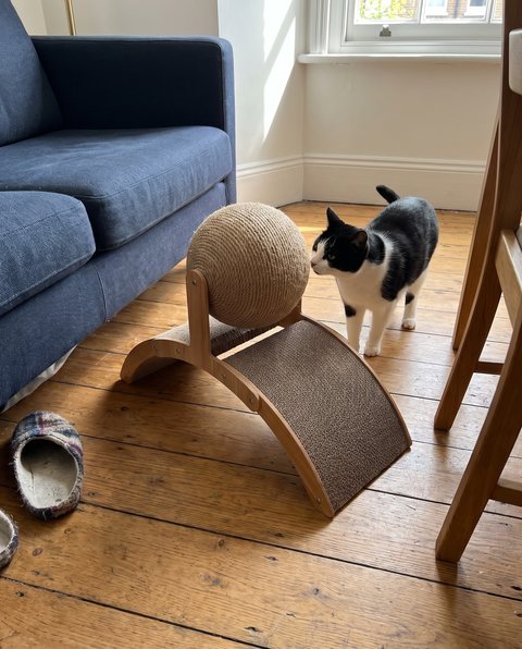 Arc Scratch Lounger, styled by Purli