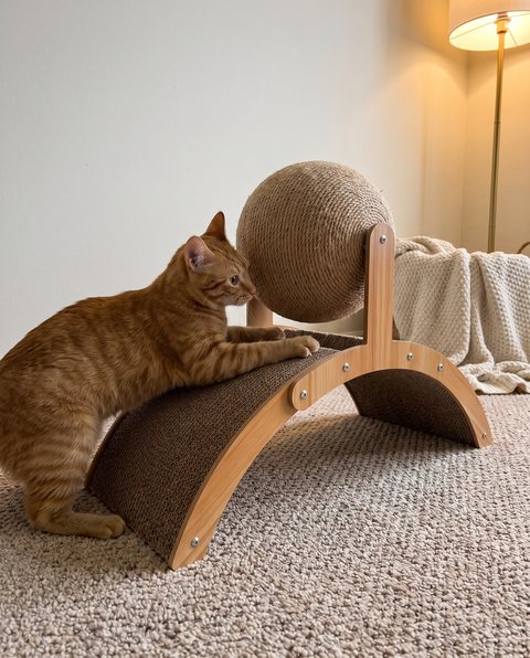 Arc Scratch Lounger, styled by Purli