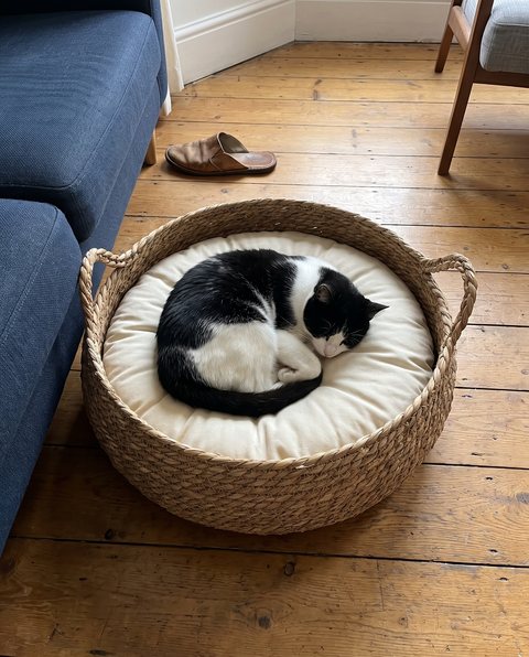 Coil Basket Bed, styled by Purli