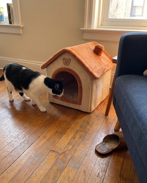 Cottage Cat Bed, styled by Purli