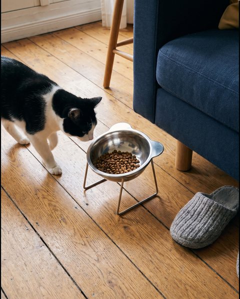 Crest Tilted Bowl, styled by Purli