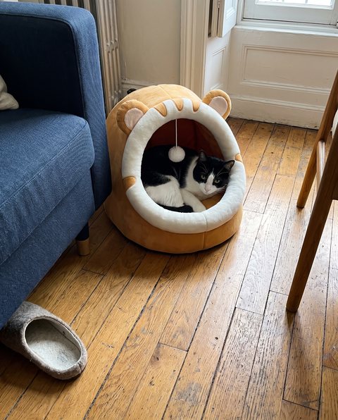 Den Cave Bed, styled by Purli