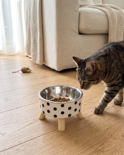 Domino Raised Bowl, styled by Purli