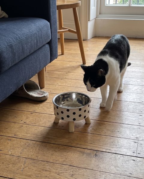 Domino Raised Bowl, styled by Purli