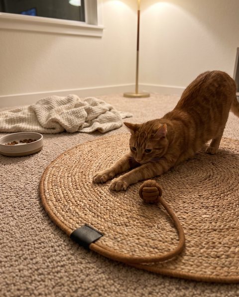 Halo Scratch Mat, styled by Purli