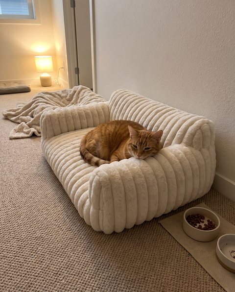 Lounge Sofa Bed, styled by Purli