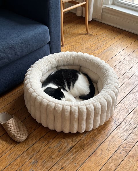 Nest Plush Bed, styled by Purli