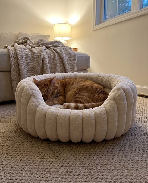 Nest Plush Bed, styled by Purli