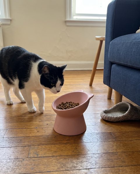 Pillar Tilted Bowl, styled by Purli