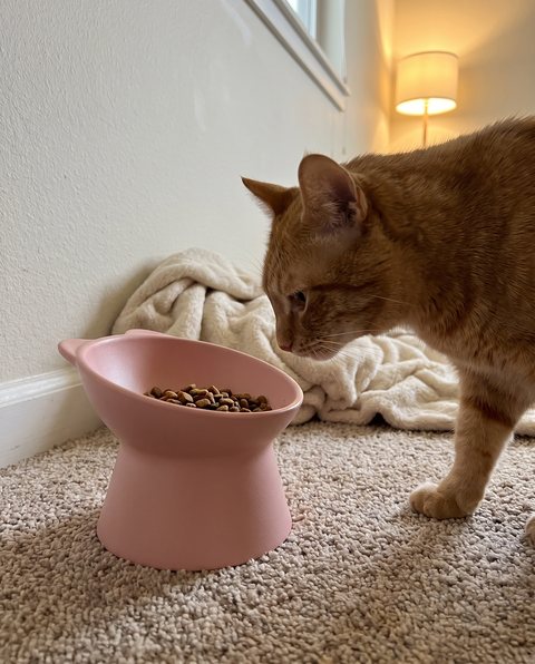Pillar Tilted Bowl, styled by Purli