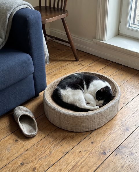 Woven Cat Nest Scratcher, styled by Purli