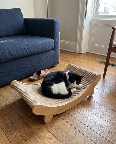 Ridge Scratch Bed, styled by Purli