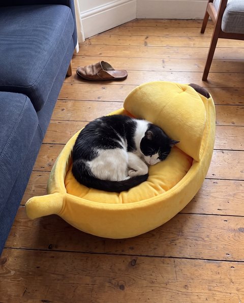 Snug Banana Bed, styled by Purli