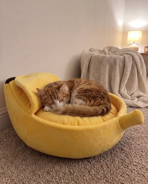 Snug Banana Bed, styled by Purli