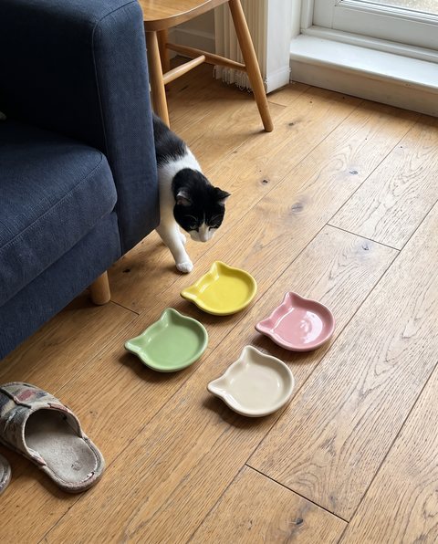 Whisker Shallow Dishes, styled by Purli